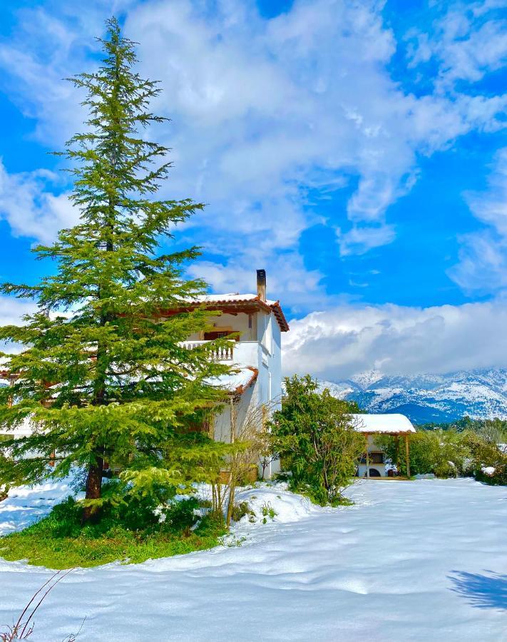 Villa Vasiliki Paliouras Exterior foto