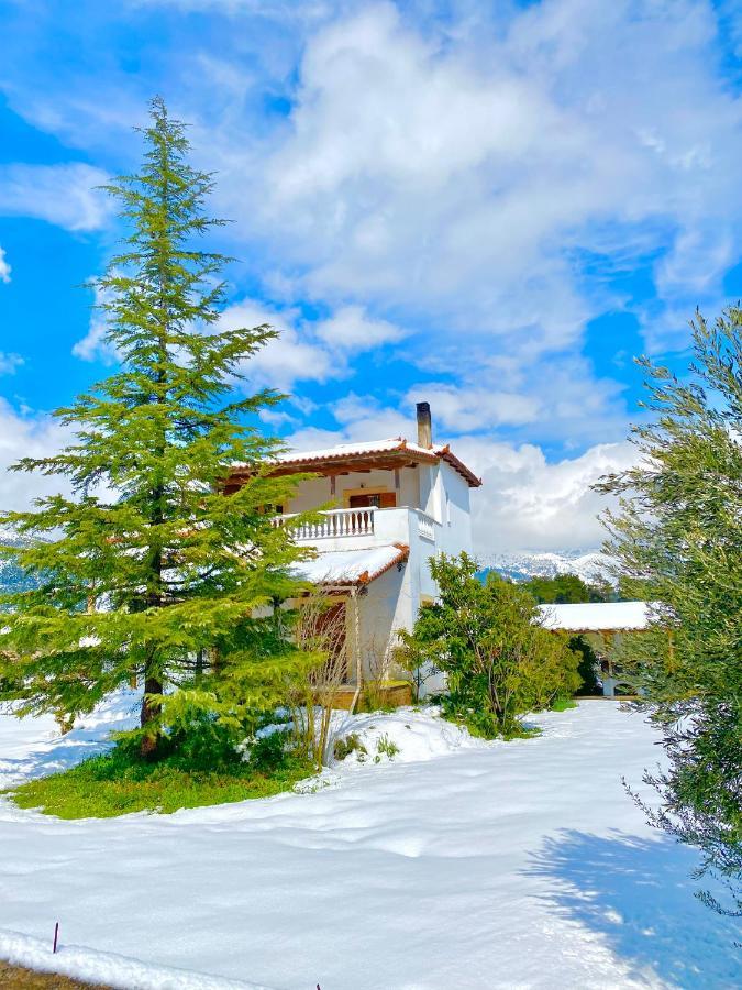 Villa Vasiliki Paliouras Exterior foto
